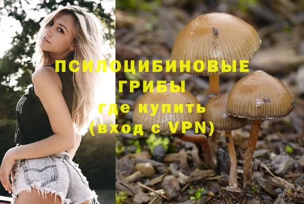 скорость Алексин