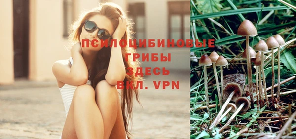 кокаин Алексеевка