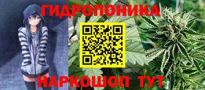 шишки Кунгур