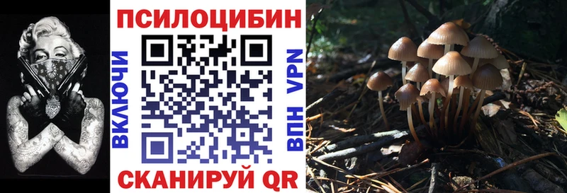 Псилоцибиновые грибы Magic Shrooms  маркетплейс Telegram  Волжский  hydra ссылки 