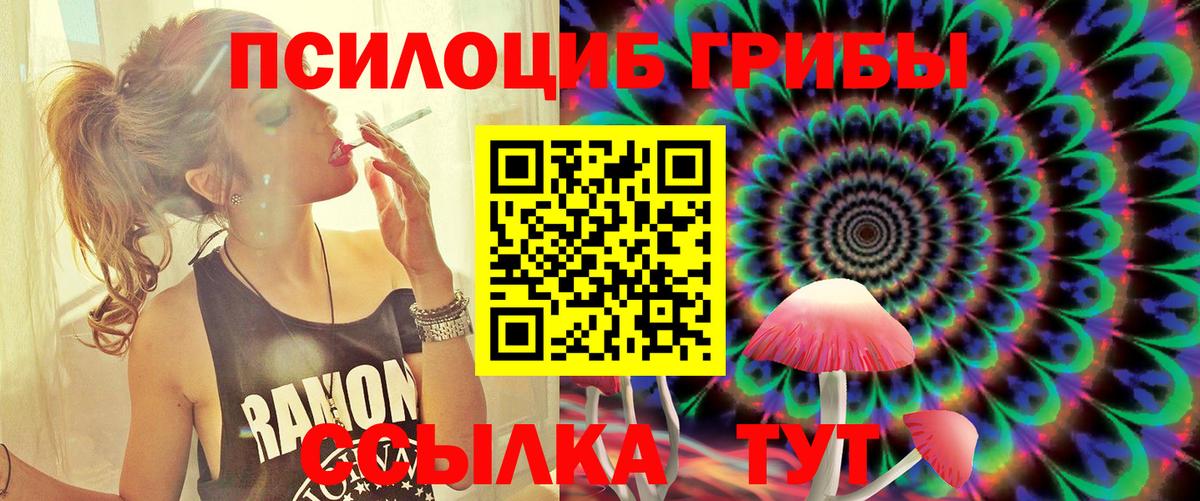 где купить наркоту  Псилоцибиновые грибы Cubensis  Вход с VPN  Волжский 