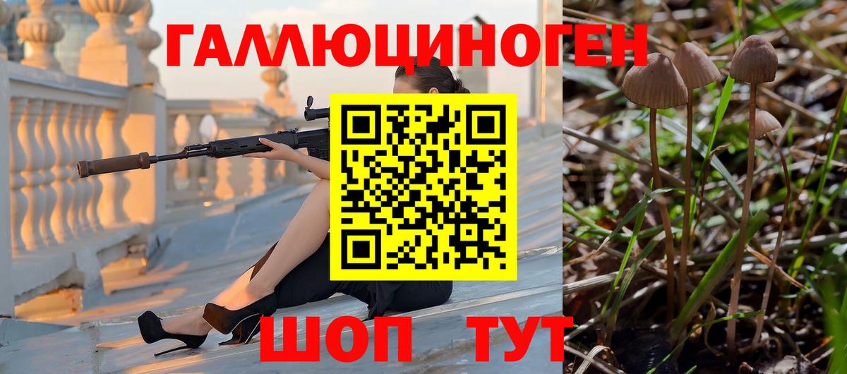 Галлюциногенные грибы мицелий Волжский
